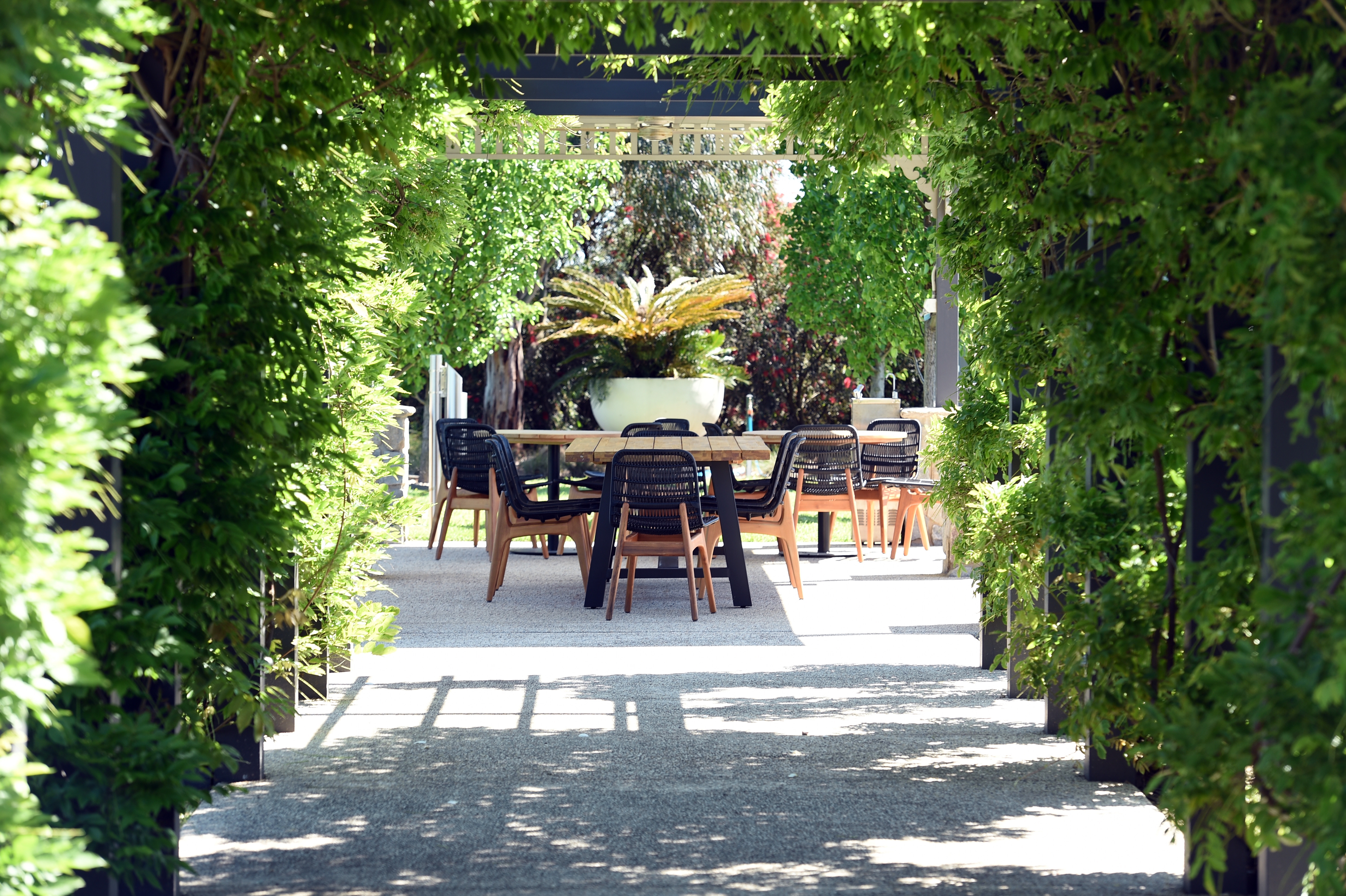 Casey Fields Garden Path 2