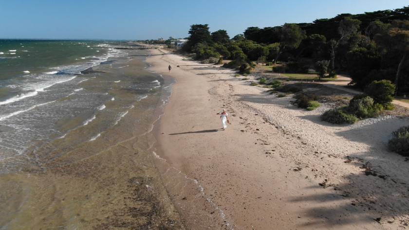 Screenshot 2024 08 13 at 3 59 39 PM