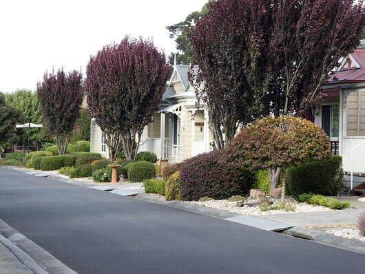Streetscape 4