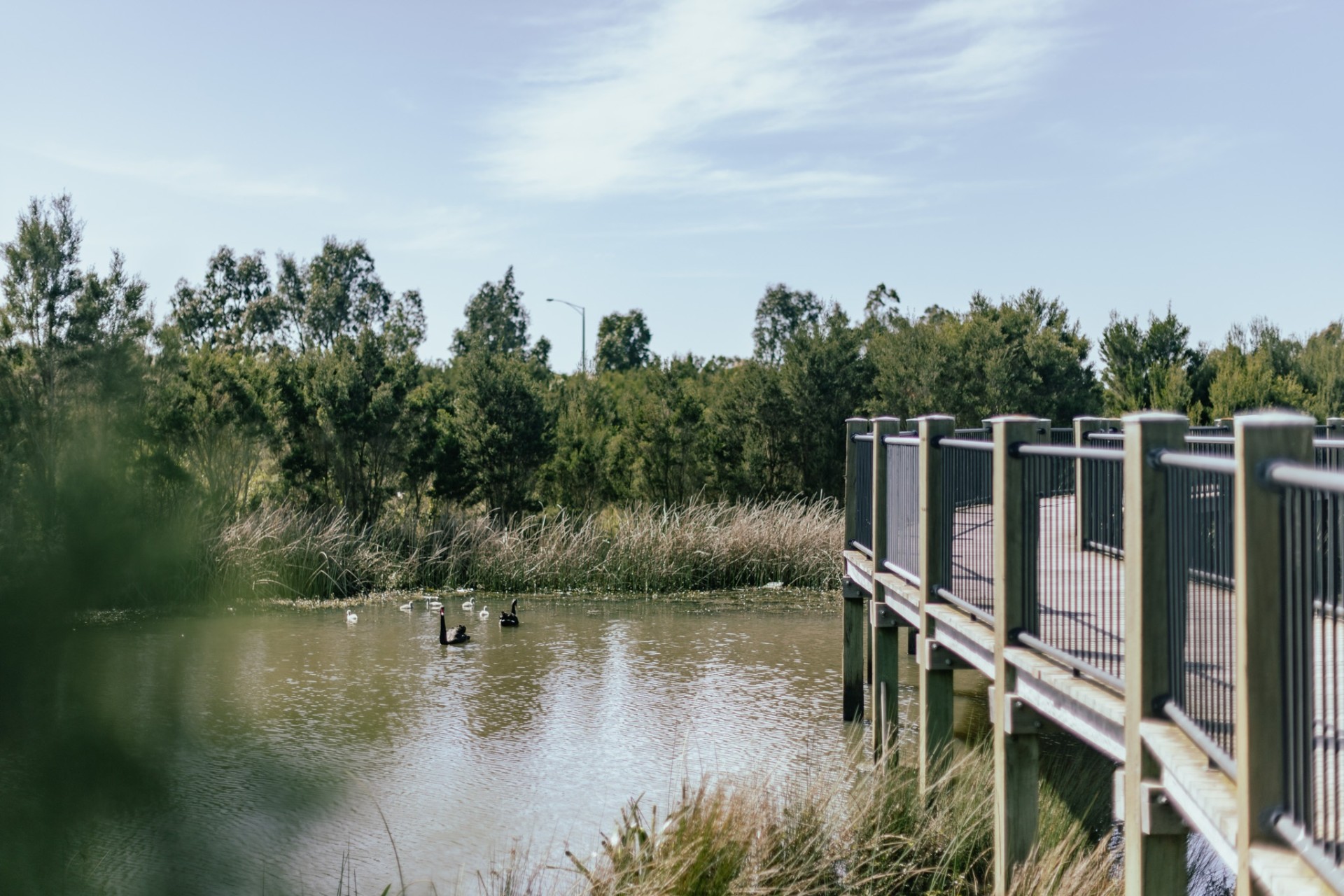 Lifestyle Riverfield Clyde Far from a Retirement Village!