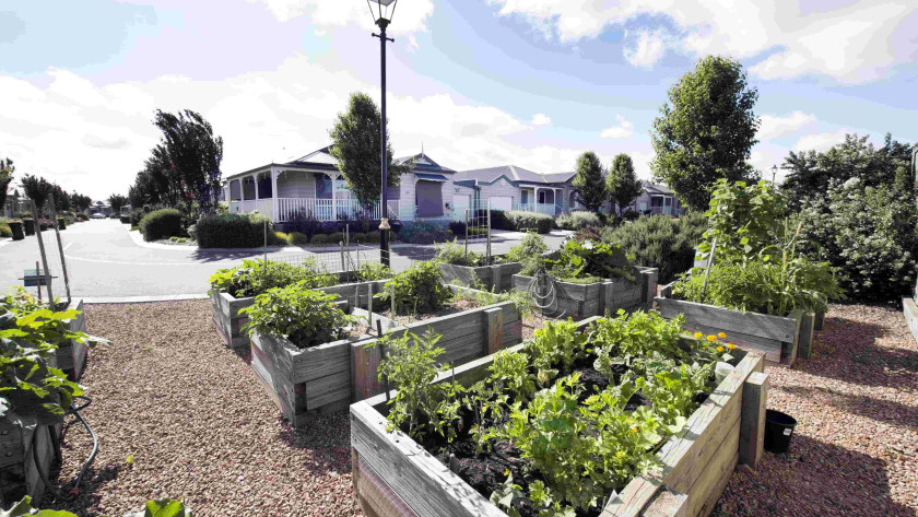 LSH Veggie gardens min