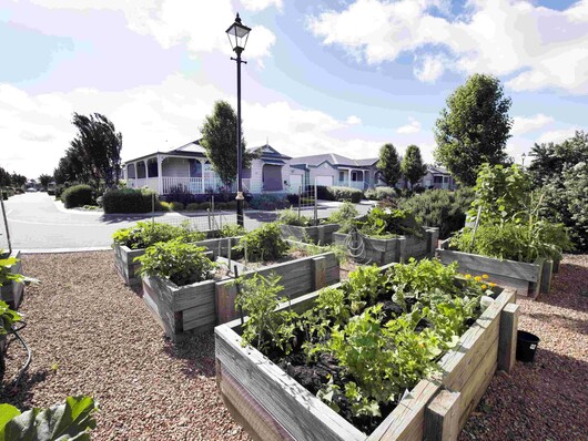LSH Veggie gardens min