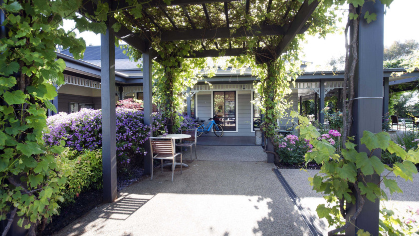 LSH Vine covered walkway min