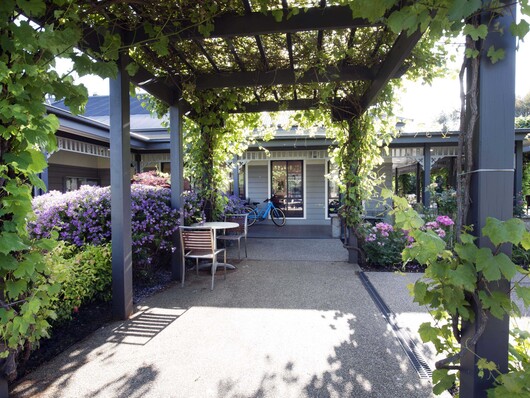 LSH Vine covered walkway min