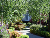 Hastings Garden Bed 2 low res