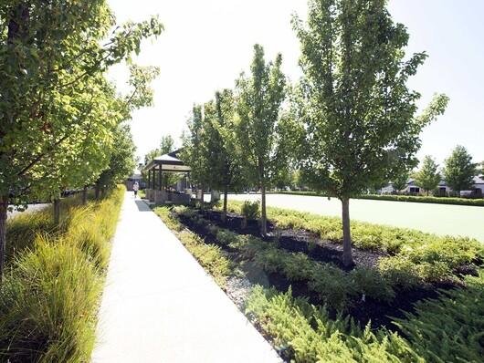Hastings Walkway garden low res