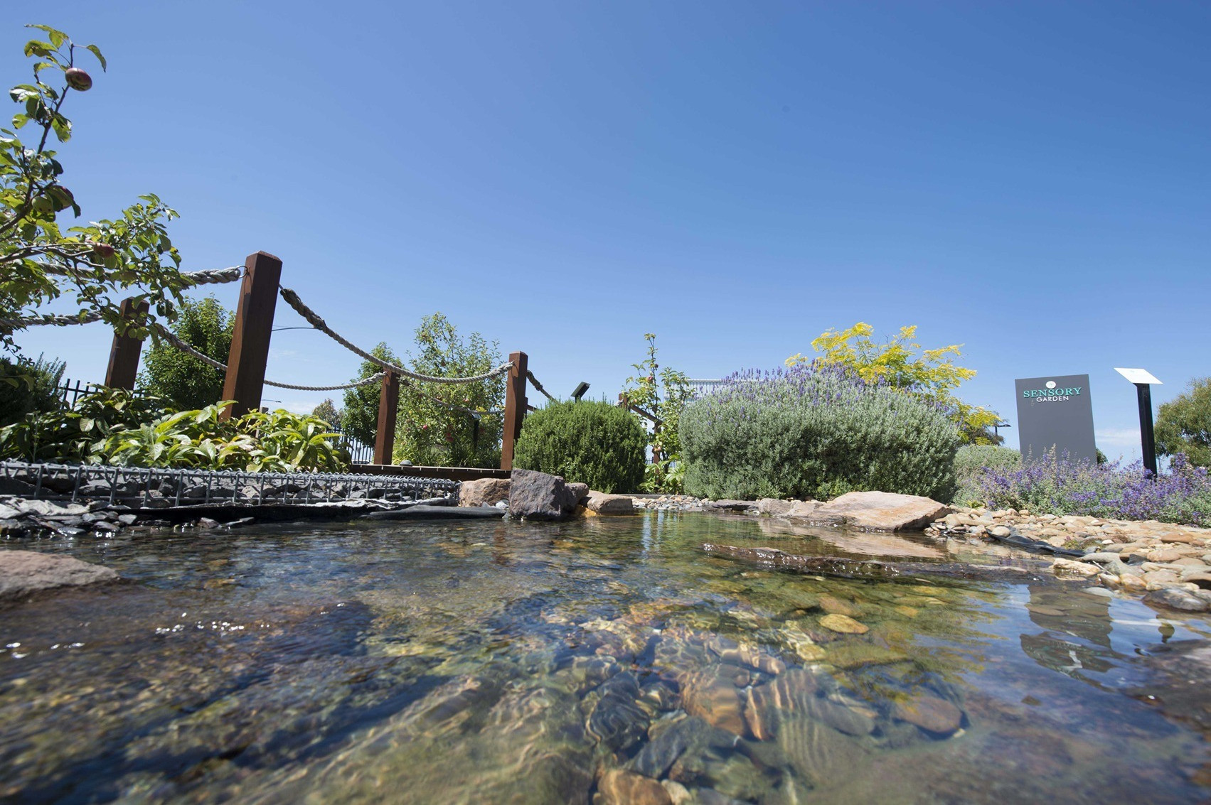Ocean Grove River