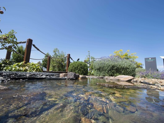 Ocean Grove River