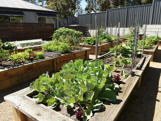 Lifestyle Casey fields veggie patch low res