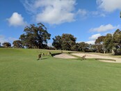 Lifestyle Geelong Golf Course low res