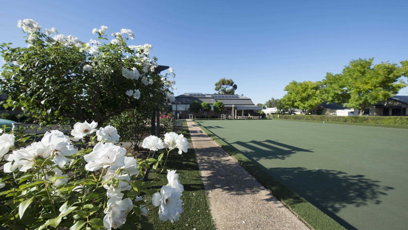 Bowling green low res