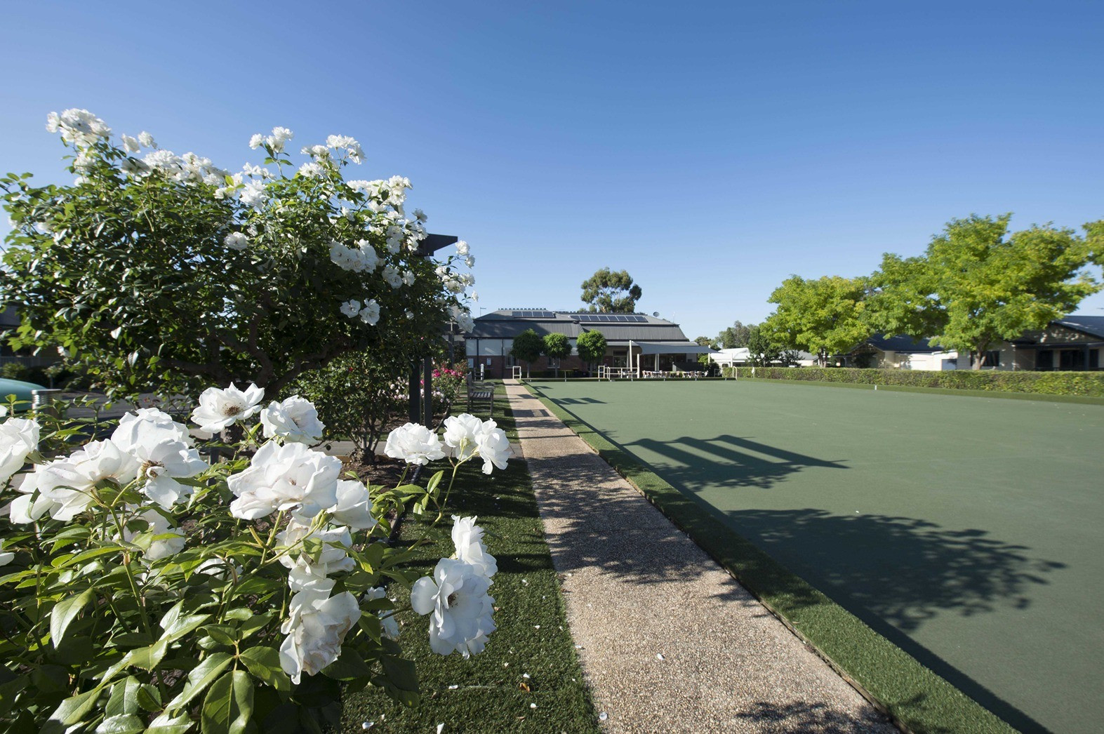 Bowling green low res