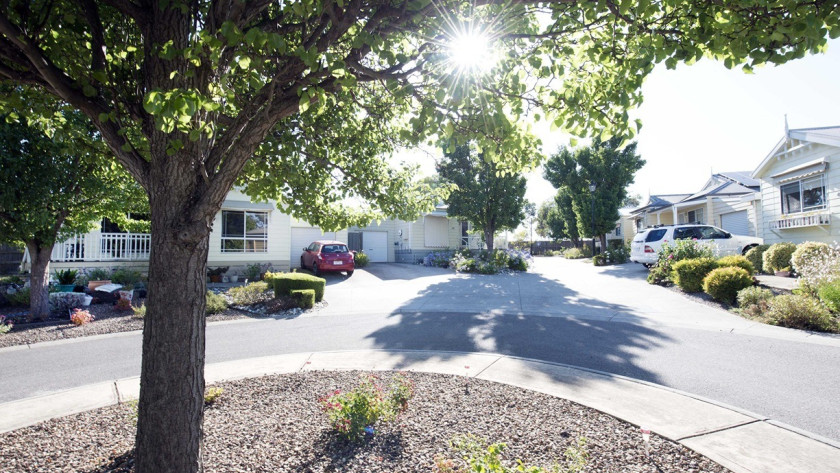 Streetscape 4 low res