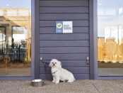 Berwick Waters Clubhouse Dog Parking low res