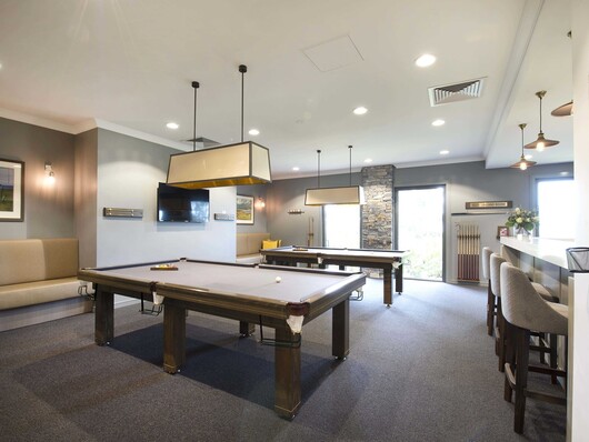 LBW Pool Table low res