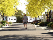 Lifestyle Seasons Gardens Caravan Park low res