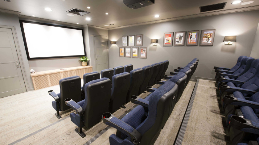 Bittern Cinema 2 low res