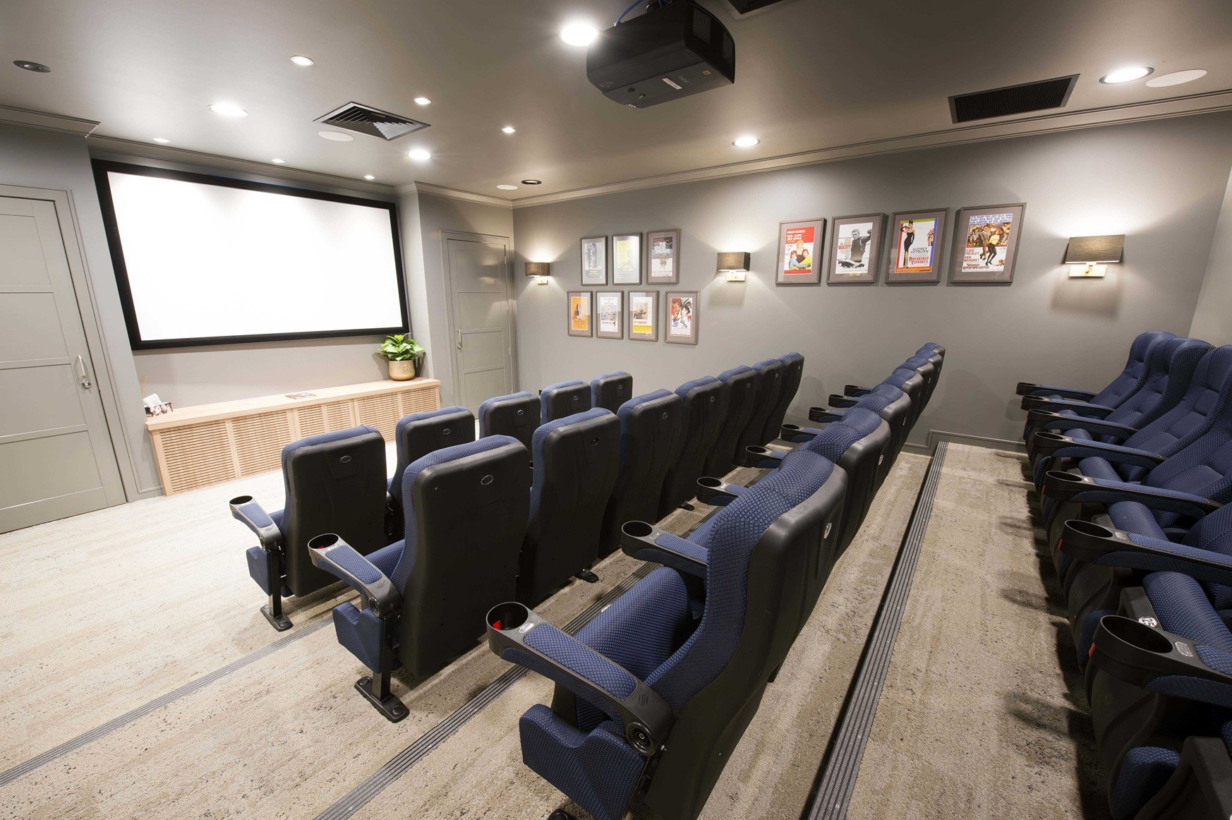 Bittern Cinema 2 low res