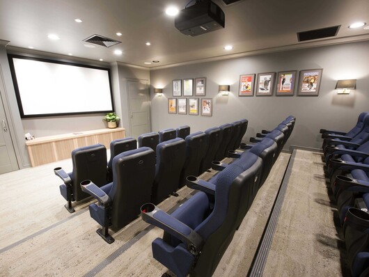 Bittern Cinema 2 low res