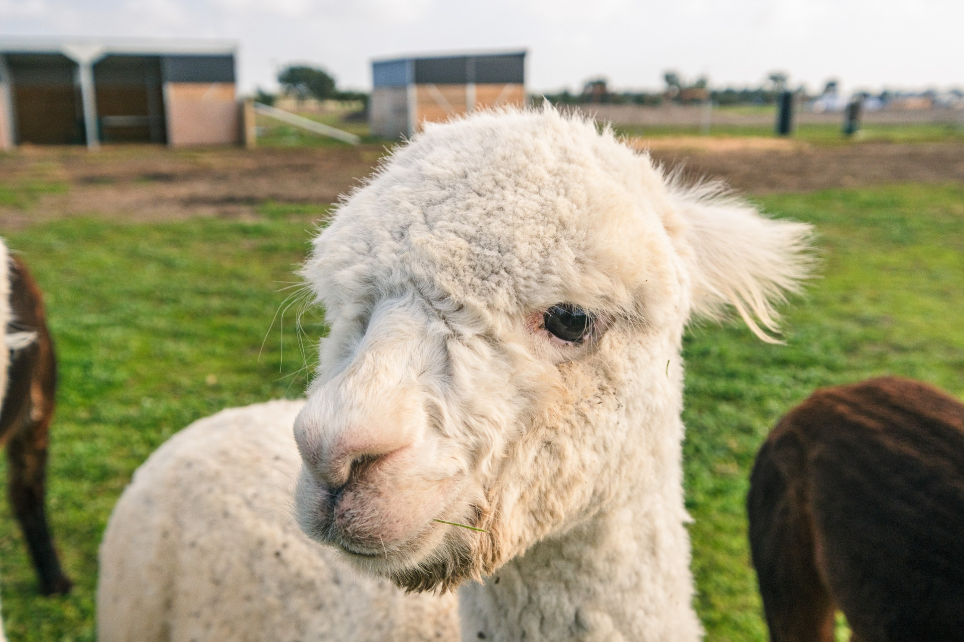 Smcgph lfestylebellarine clubvillas 3065 lores