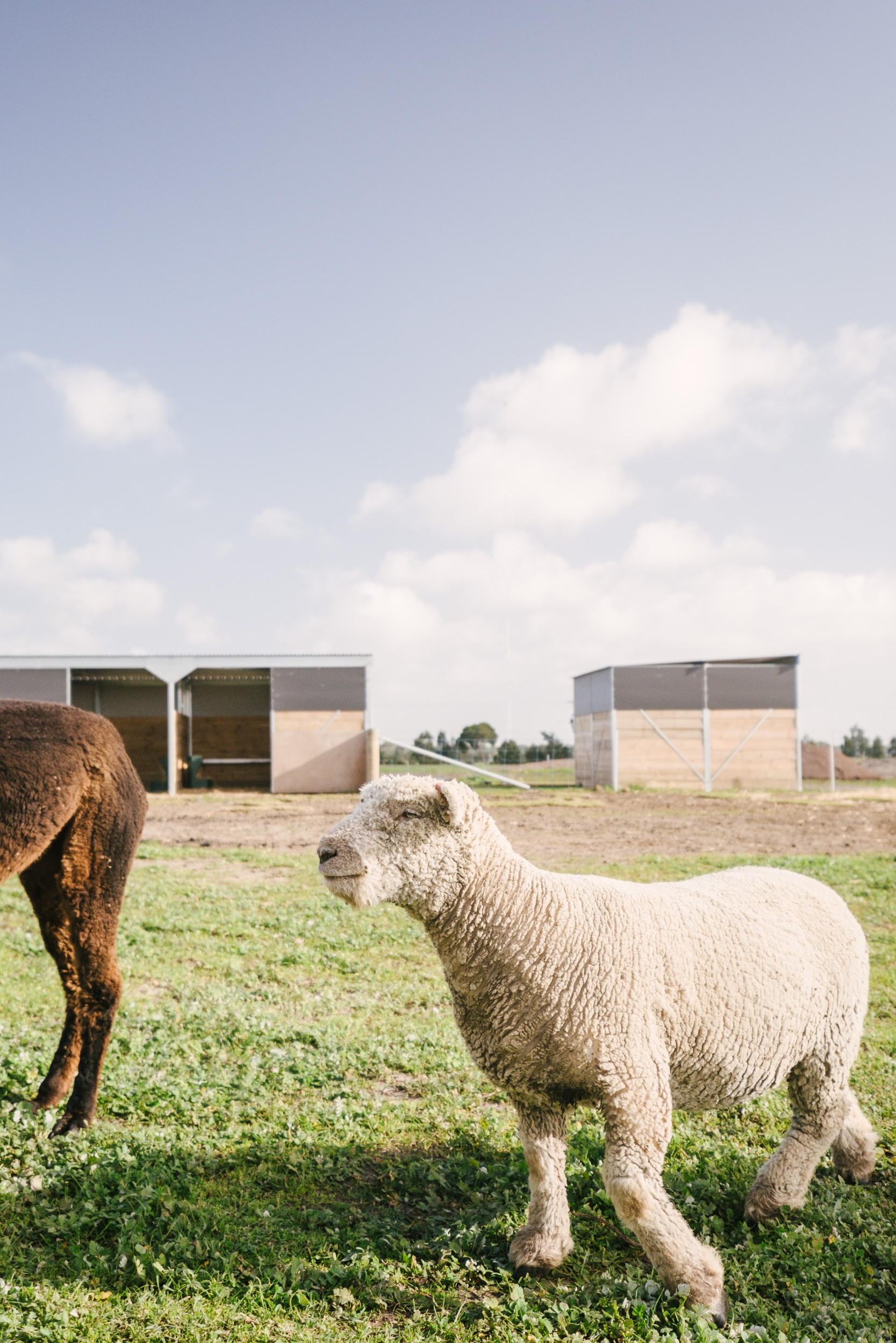 Smcgph lfestylebellarine clubvillas 3168 lores