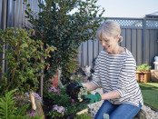 Chelsea Heights Gardening