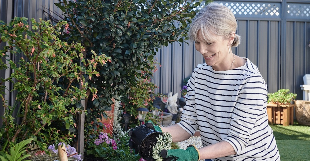 Chelsea Heights Gardening