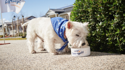 Lifestyle Communities® Chelsea heights Dog