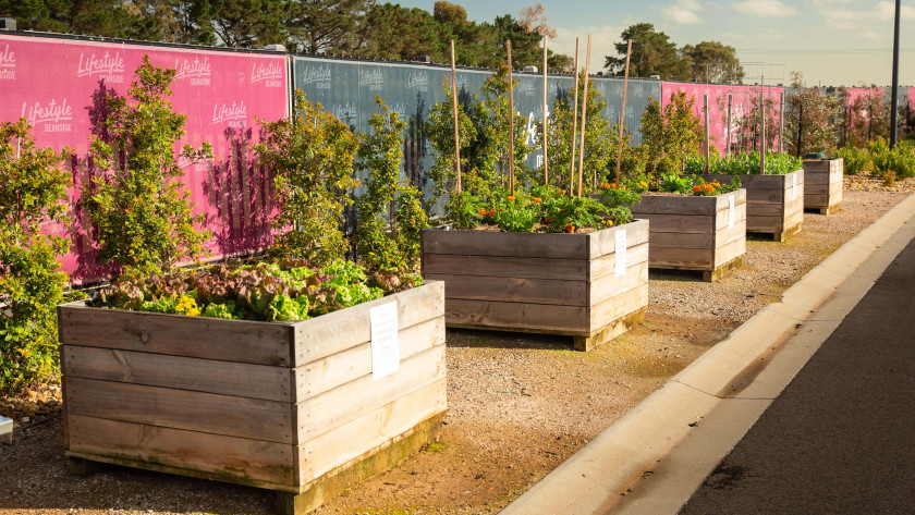 Deanside Exterior Vegie Vegetable Patch