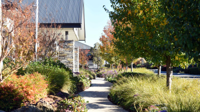 Lyndarum Garden Pathway 1