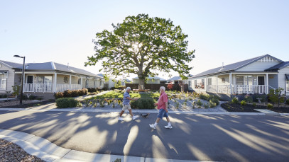 Lifestyle Officer oaktree