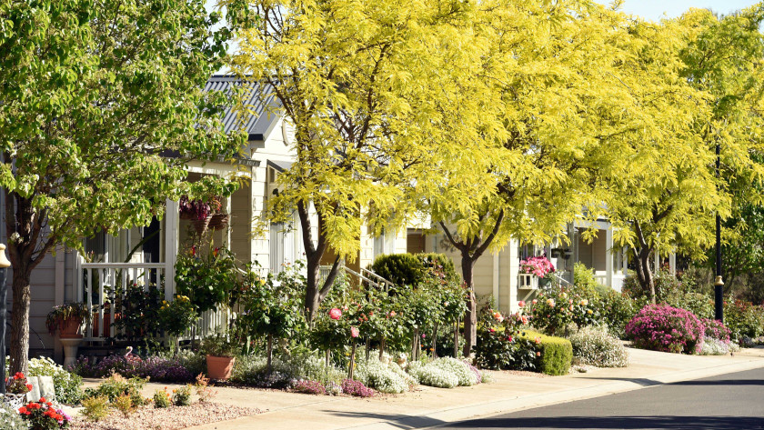 Seasons Street Garden