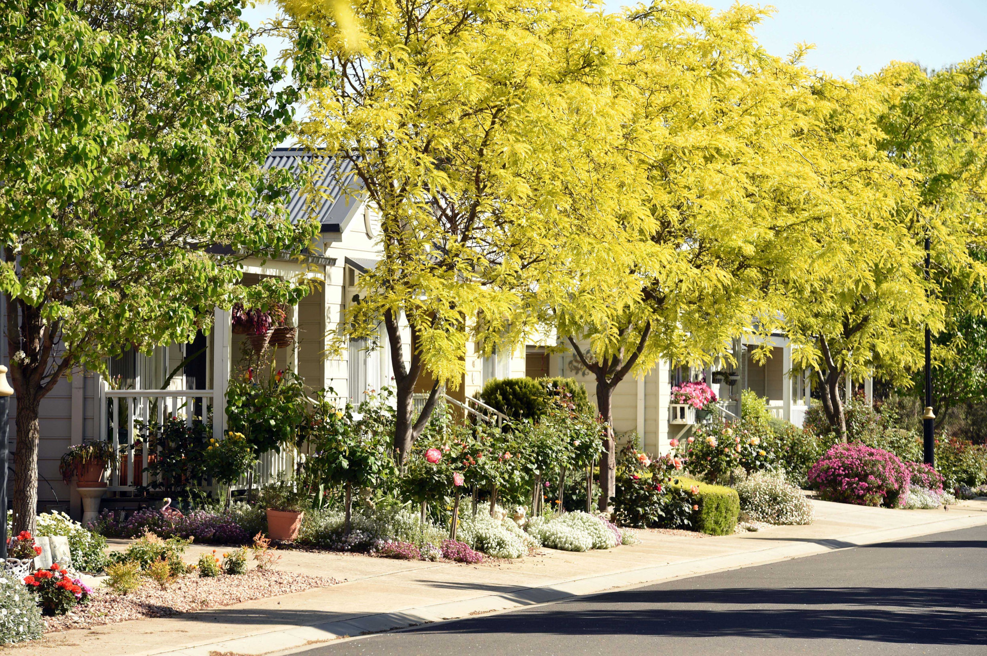 Seasons Street Garden