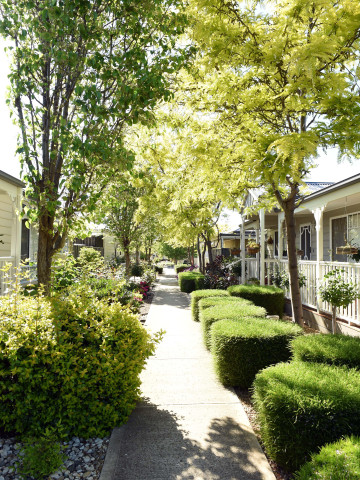 Lifestyle Seasons Streetscape drunken walkway
