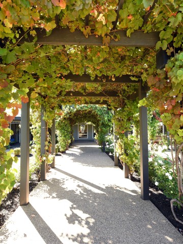 Lifestyle Communties Clubhouse garden Walkway portrait