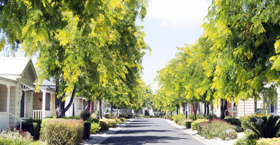 Seasons Streetscape