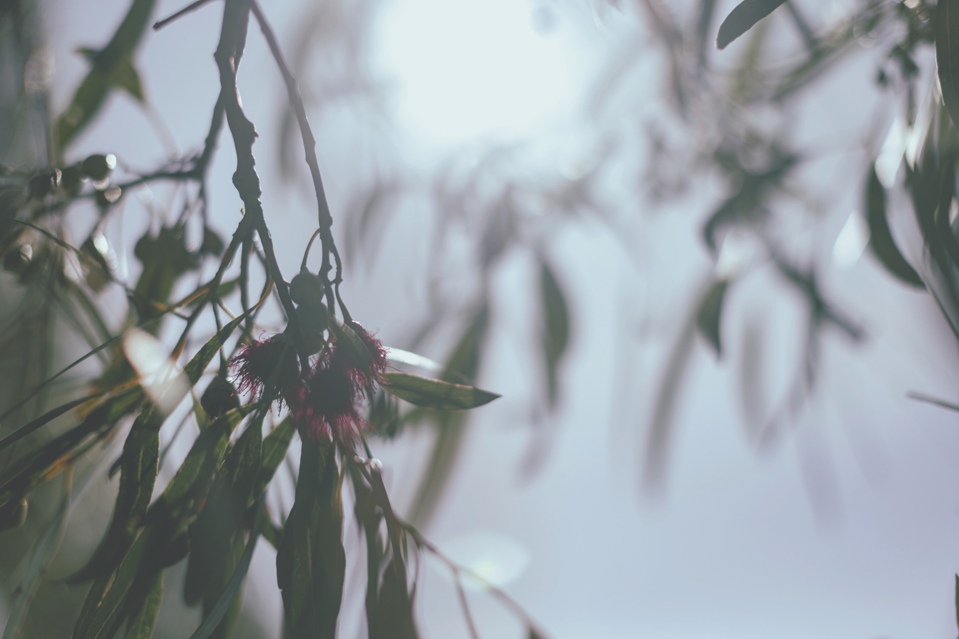 ResortStyle Downsizing & Retirement Community in Yarrawonga