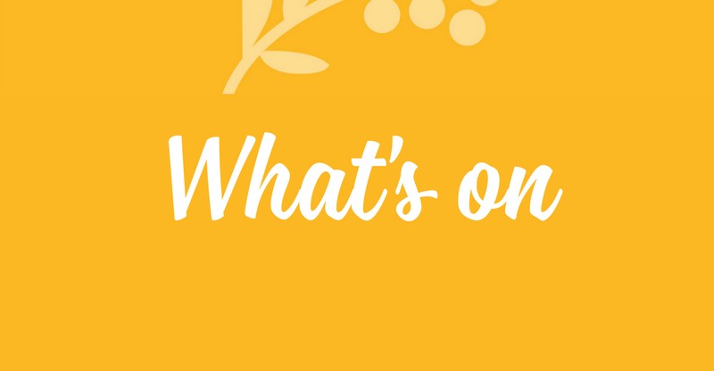 Whats on lifestyle casey fields