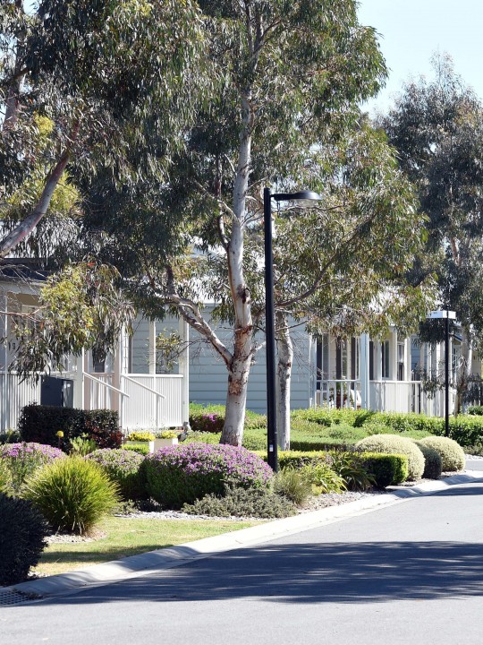 Lifestyle hastings streetscape gums