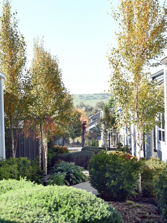 Lyndarum Garden Walkway