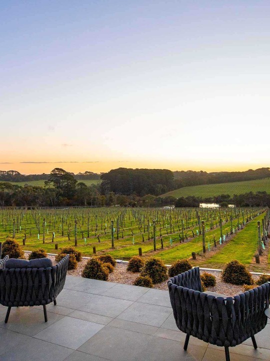 Mornington peninsula winery
